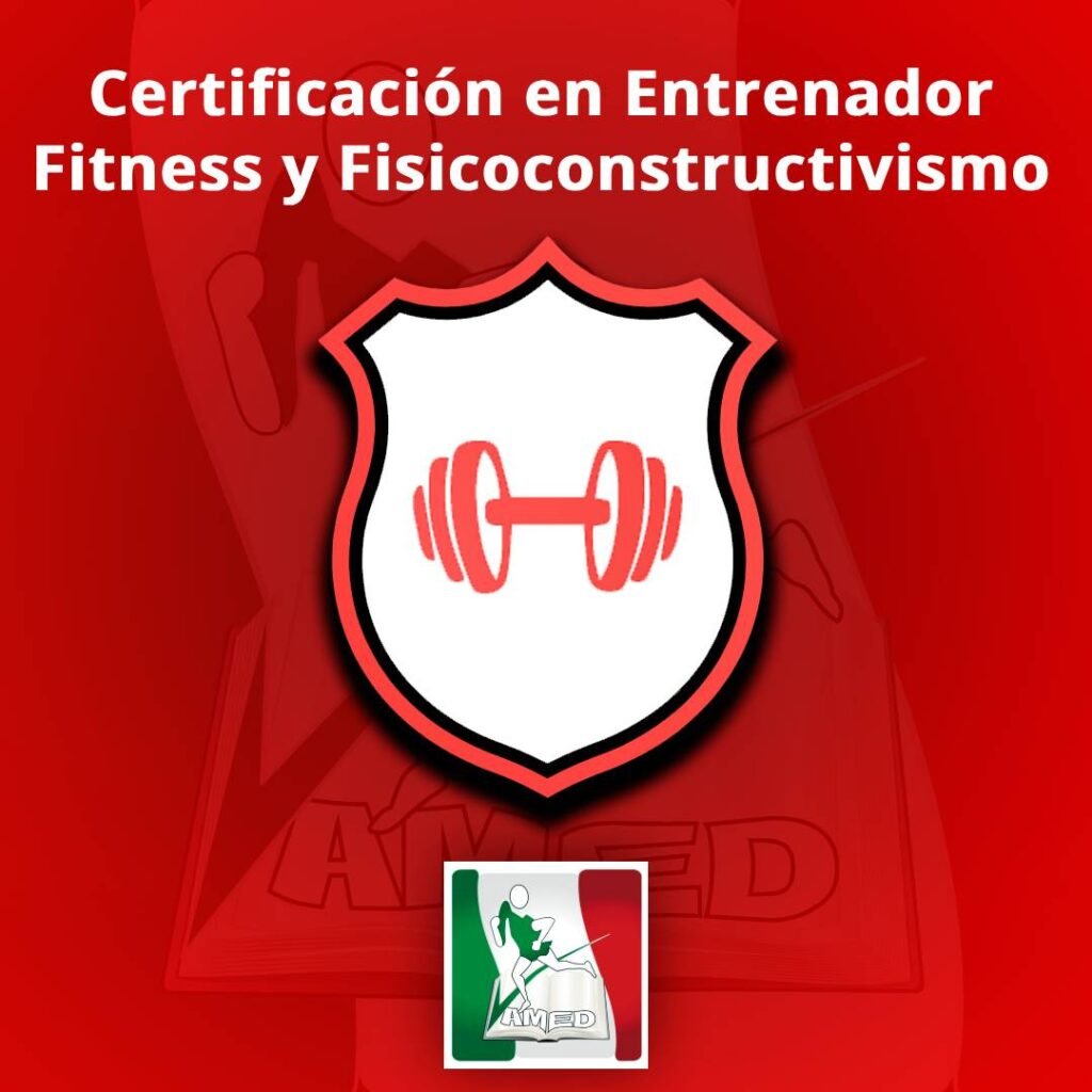 certificacion en entrenador fitness y fisicoconstructivismo