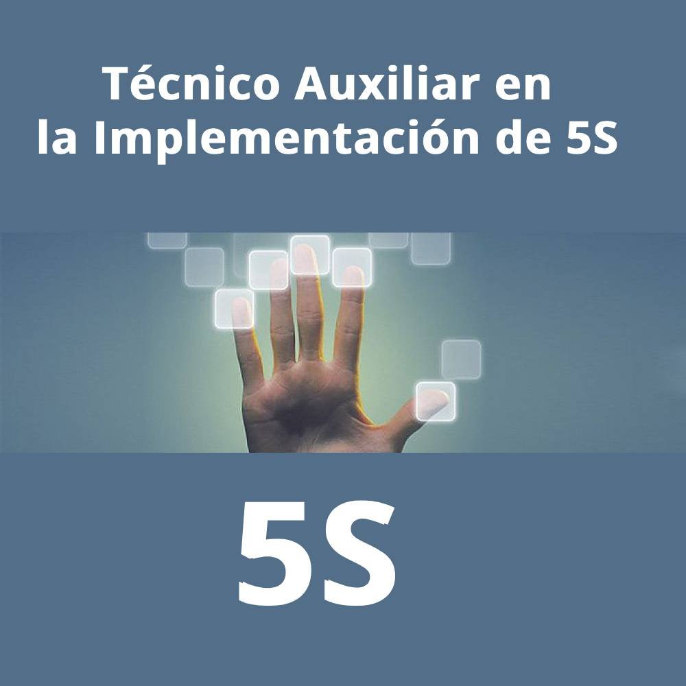 comprar curso tecnico auxiliar en implementacion de 5s