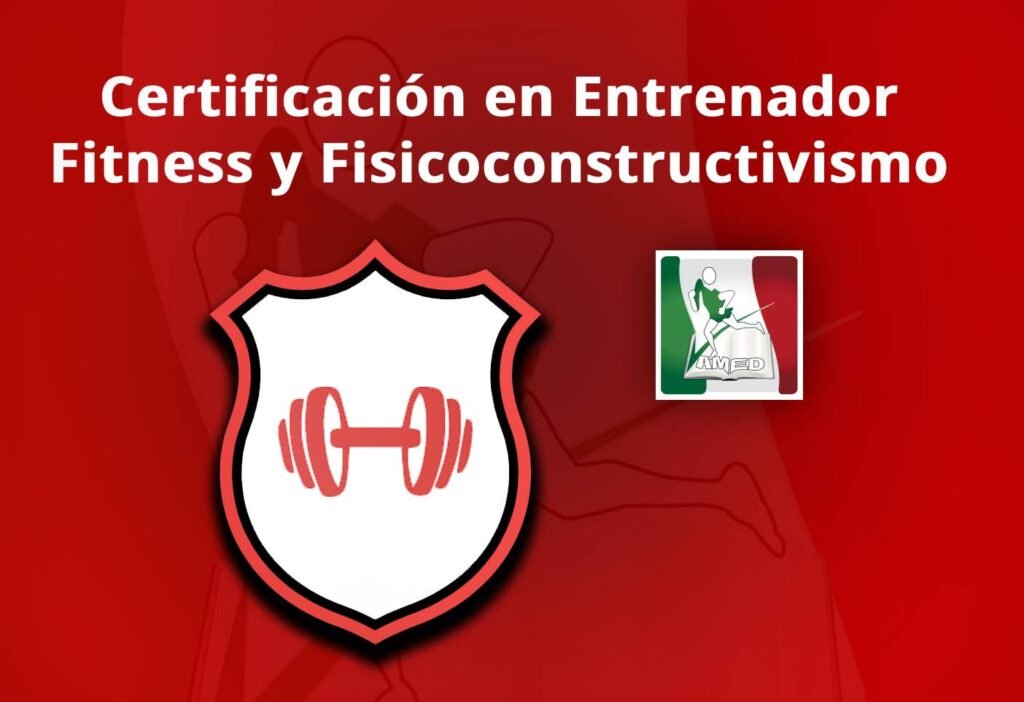 certificacion en entrenador fitness y fisicoconstructivismo opinion