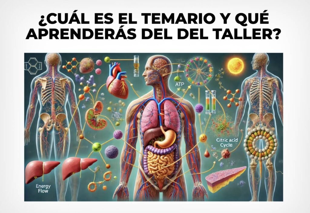 metodologia taller de asesoria metabolica