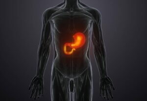 qué relación hay entre el metabolismo y el crecimiento
