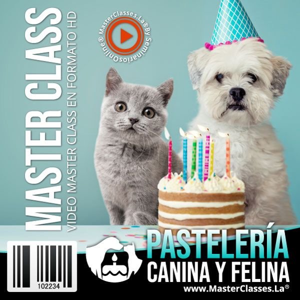 Opinión Curso Pastelería Canina y Felina